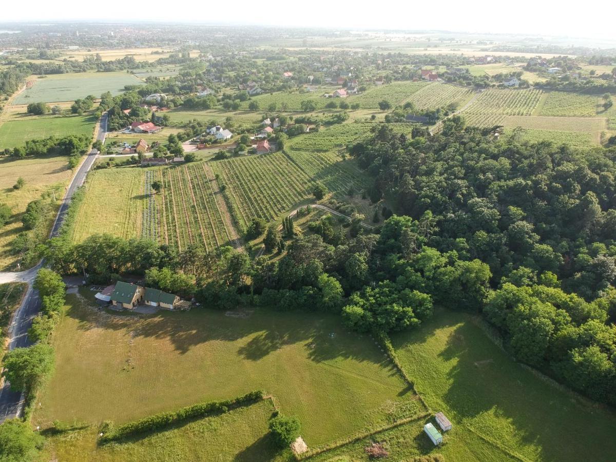 Pilikan Apartments - Park, Agroturism, Vineyard & Farm Сержегтомай Екстер'єр фото