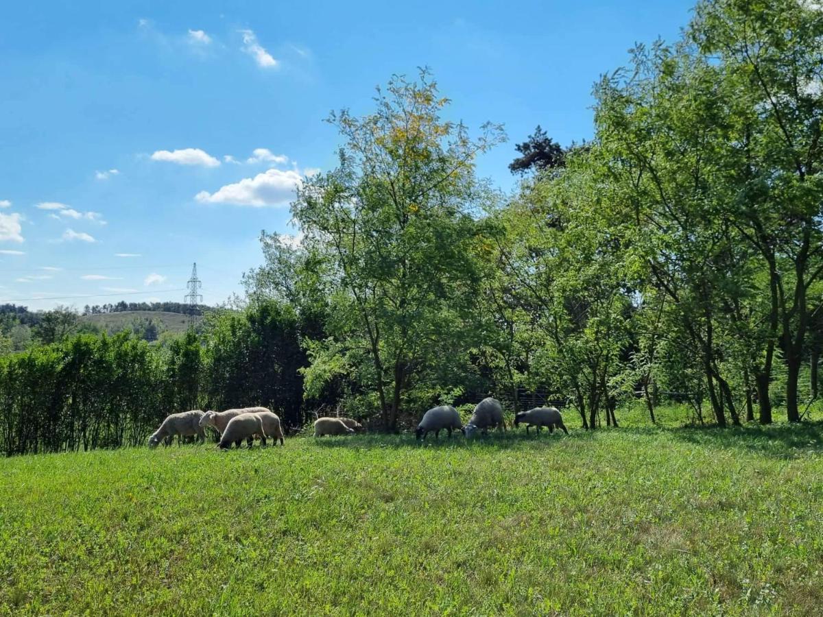 Pilikan Apartments - Park, Agroturism, Vineyard & Farm Сержегтомай Екстер'єр фото